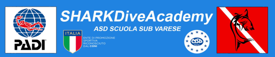 SharkDiveAcademy